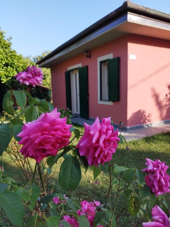 Villa La Casina à Barga Extérieur photo
